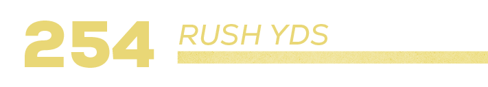 254,rush YD
