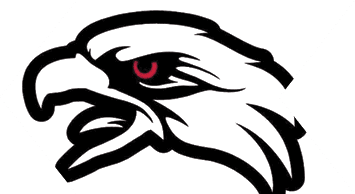A stylized black and white eagle head with a red eye in a bold graphic design. Description generated by AI
