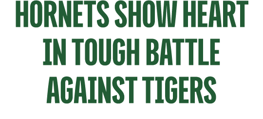 hornets show heart in tough battle against tigers