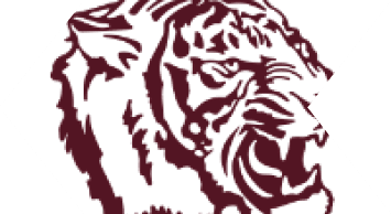 A blue and white bull head. Description generated by AI