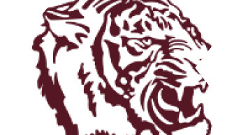 A blue and white bull head. Description generated by AI