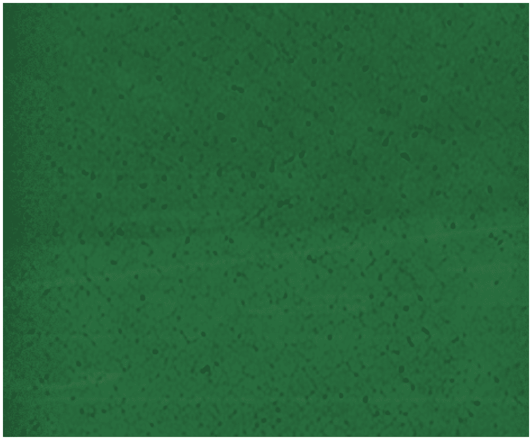 A red and black striped cloth. Description generated by AI