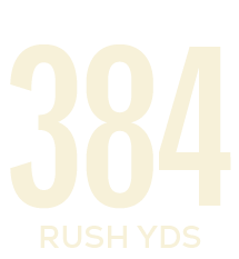 rush yds,38