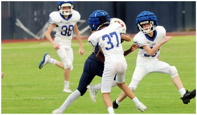 A football player wearing a blue and white uniform. Description generated by AI
