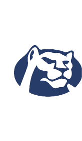 A blue and white logo for Valor. Description generated by AI