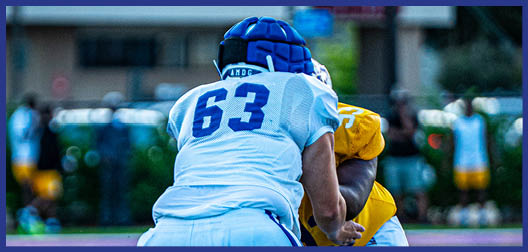 A football player wearing a blue and white uniform. Description generated by AI