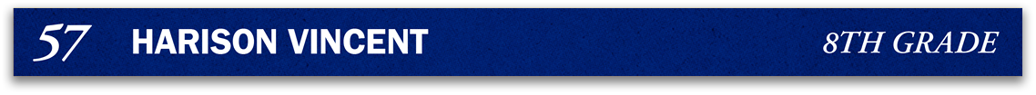 Red and blue fabric. Description generated by AI