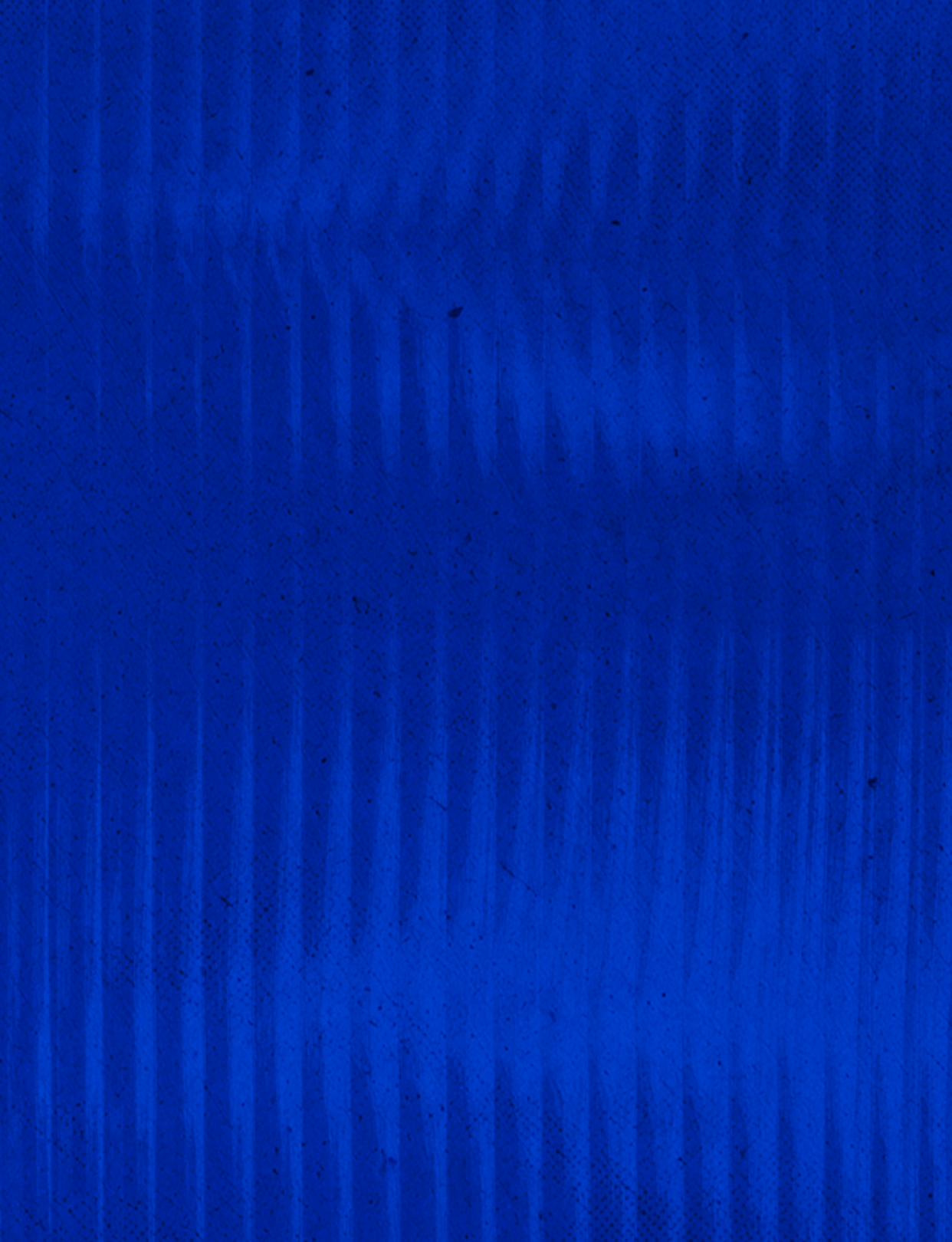 A blue and white patterned wallpaper. Description generated by AI