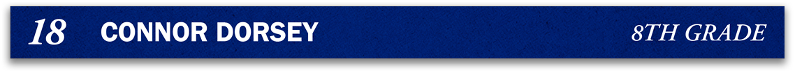 Red and blue fabric. Description generated by AI