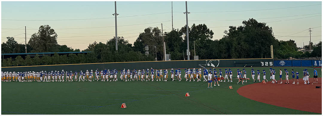 A football player wearing a blue and white uniform. Description generated by AI