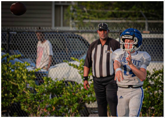 A football player wearing a blue and white uniform. Description generated by AI