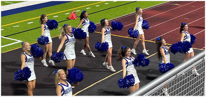 A football player wearing a blue and white uniform. Description generated by AI