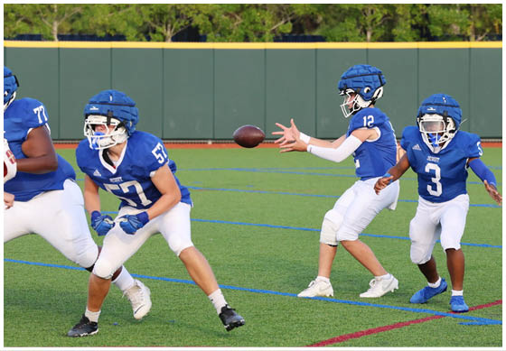 A football player wearing a blue and white uniform. Description generated by AI