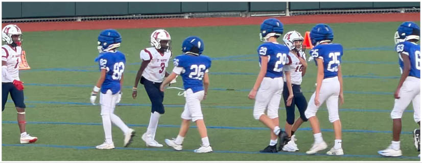 A football player wearing a blue and white uniform. Description generated by AI