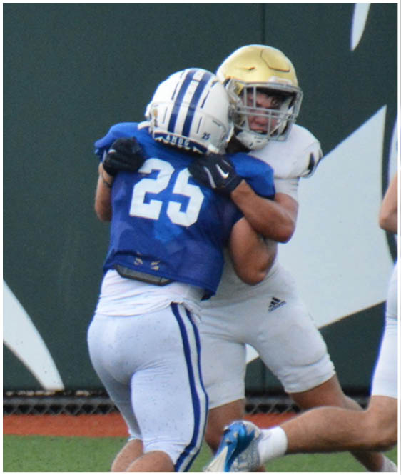 Three football players in blue and white uniforms running on a field. Description generated by AI