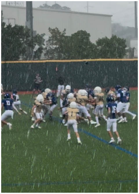 A football player catching a ball. Description generated by AI