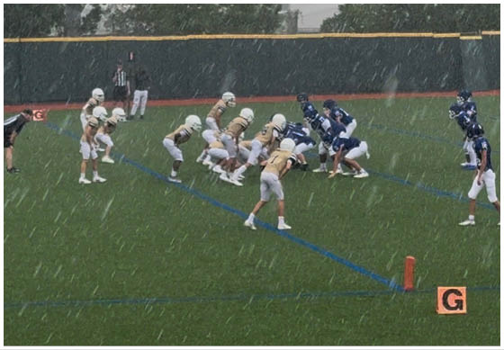 A football player wearing a blue and white uniform. Description generated by AI