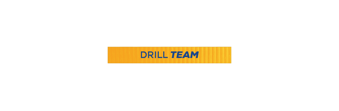 drill team,valkyrie