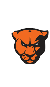 A black and orange paw with a white nose. Description generated by AI