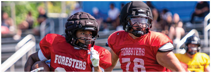 Two football players running on a field. Description generated by AI