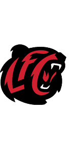 A black and red logo of a tiger. Description generated by AI