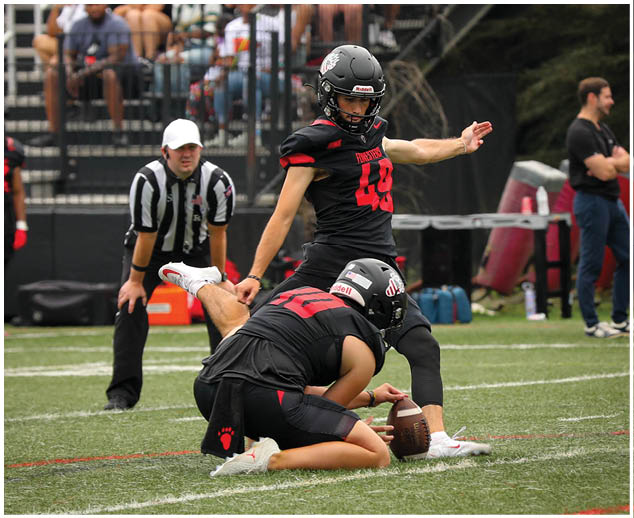 A football player is kicking a football. Description generated by AI
