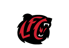 A black and red logo with a tiger's head. Description generated by AI