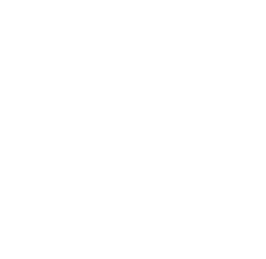 RUSH YDS,27