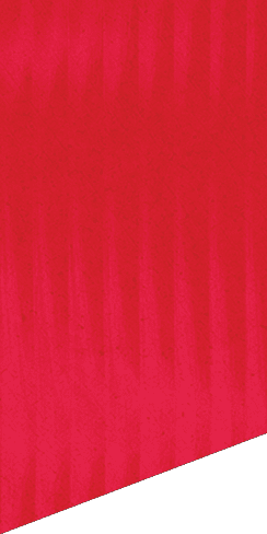 A green and white patterned background. Description generated by AI