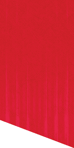 A green and white patterned background. Description generated by AI