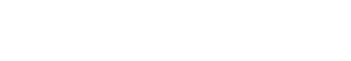 SCOUT TEAM PLAYER,GIULIO SPIZZIRRI | D