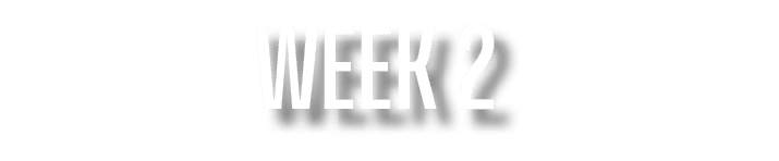 Week 2