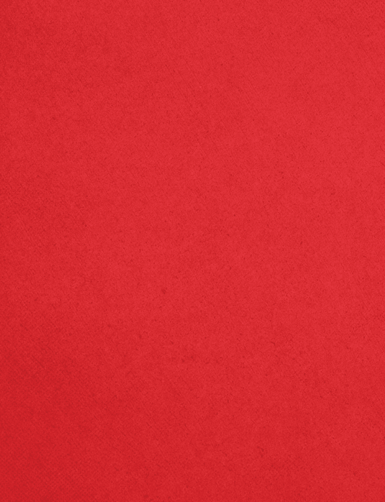 A red cloth with a red border. Description generated by AI