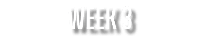 Week 3