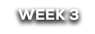  week 3