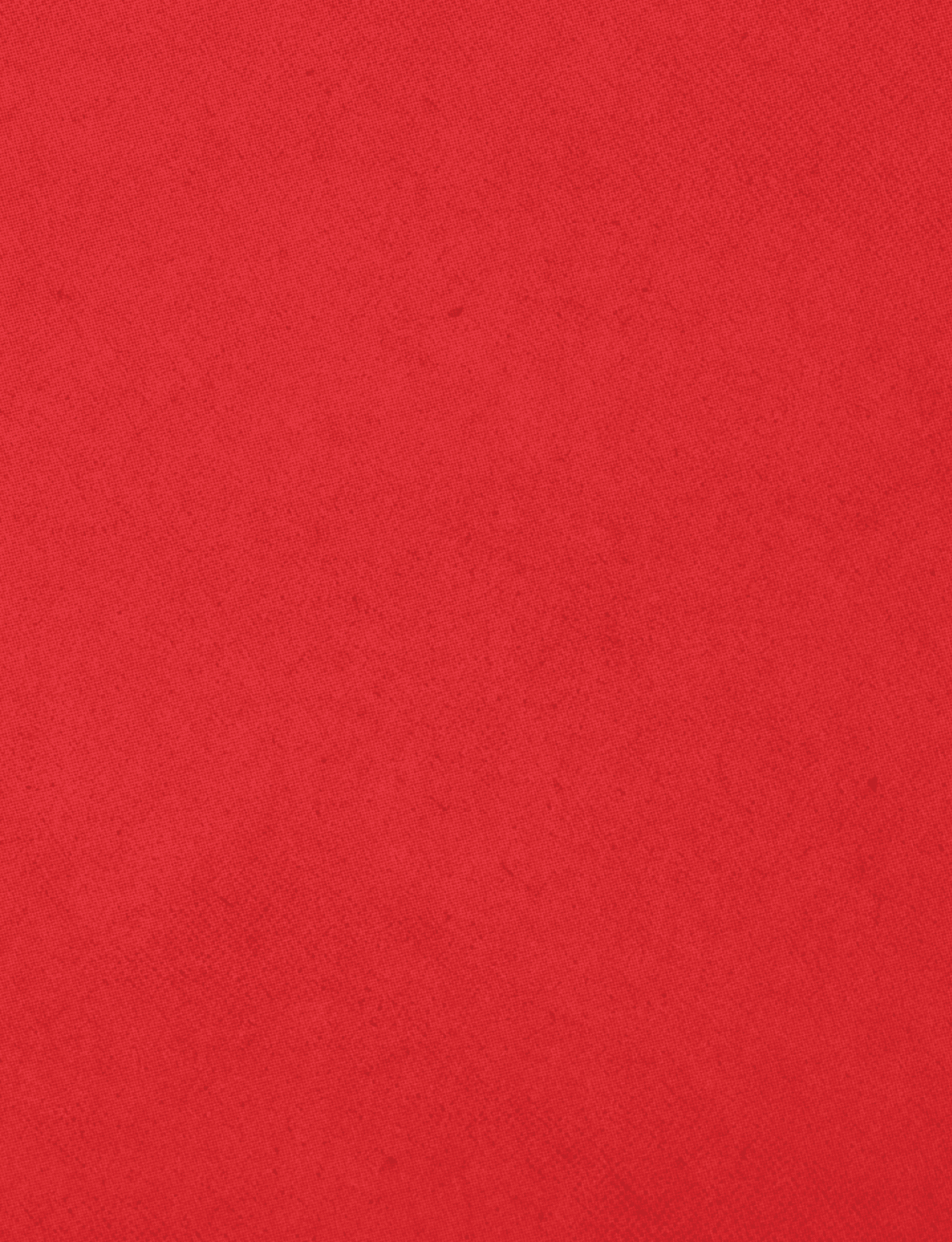 A red cloth with a red border. Description generated by AI