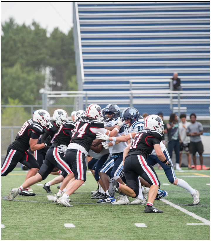Adults wearing football uniforms are engaged in a play on a green field with a blurred background of trees and bleachers. Description generated by AI