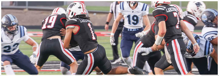 Several people in football uniforms are actively engaged in a play on a football field. Description generated by AI
