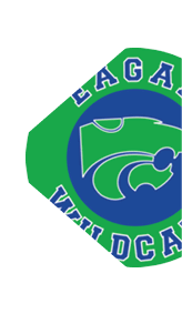 A stylized green and blue wildcat head logo with the partial text “LAGAN" in bold letters above it. Description generated by AI
