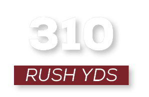 RUSH YDS,31