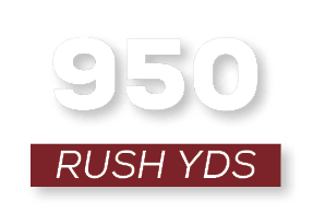 RUSH YDS,95