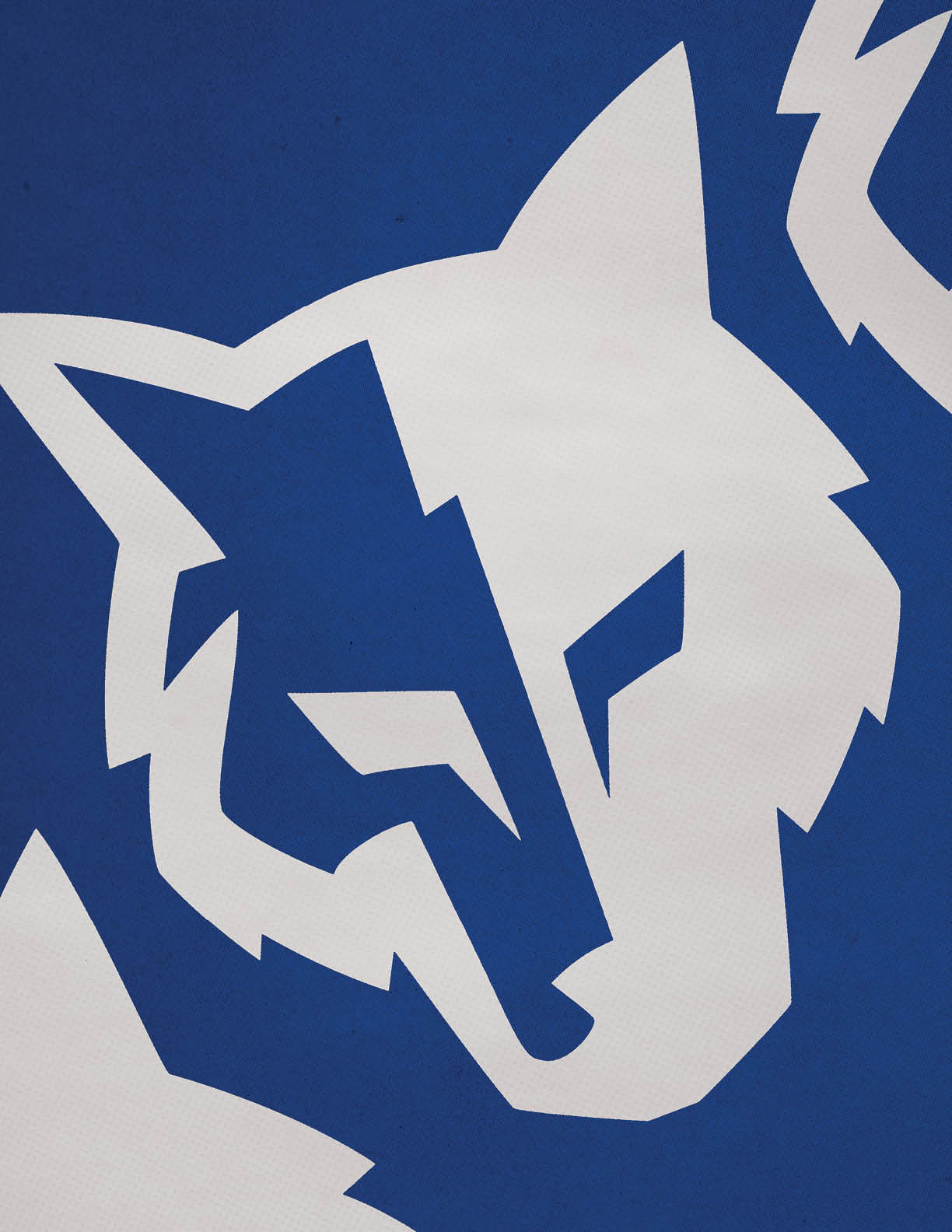A football schedule for the 2014 season. Description generated by AI