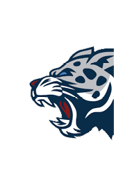 A blue and white logo for Valor. Description generated by AI