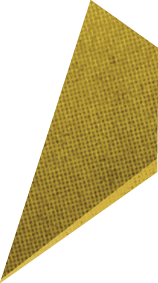 A gold and green card with the word “Social" written on it. AI generated content