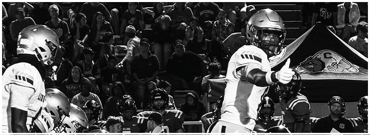 A crowd of people is seated in bleachers watching a football game with two players in helmets visible in the foreground. Description generated by AI