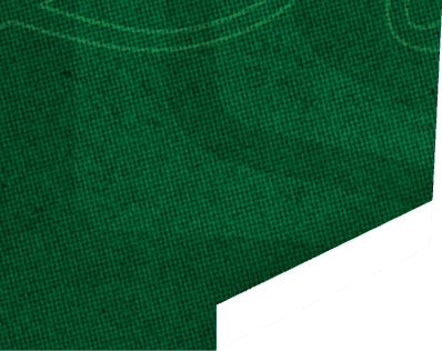 Lincoln Football's Players of the Game text is displayed above a large gold shield shape on a green textured background. Description generated by AI