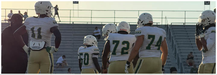 People wearing sports uniforms stand on a football field near a football placed on the ground. Description generated by AI