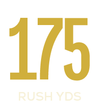 rush yds,17