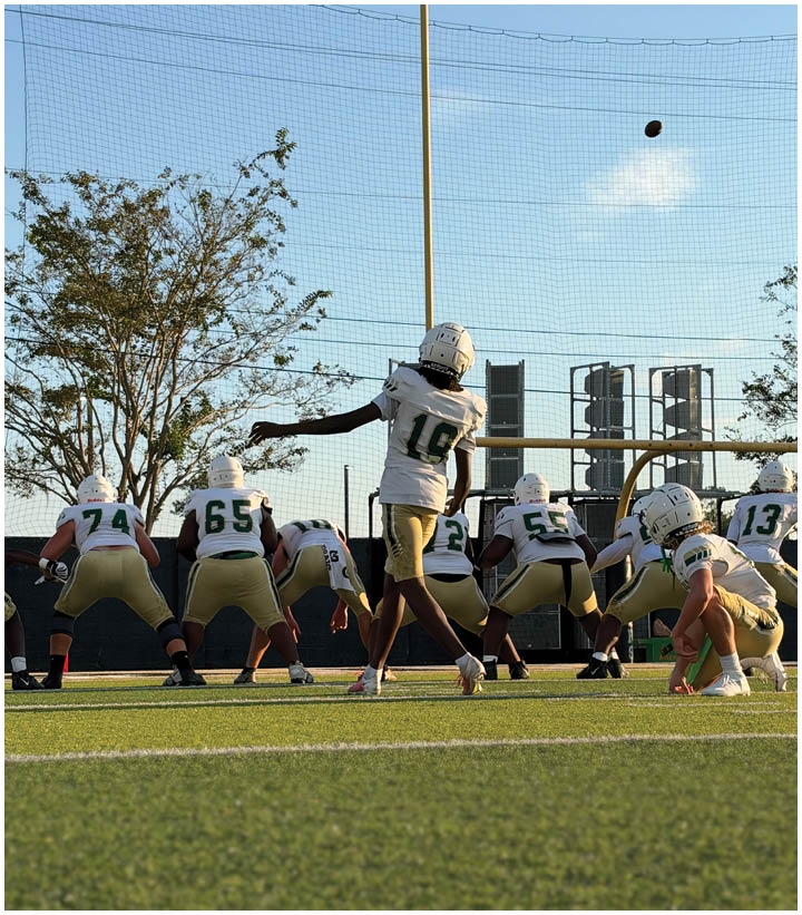 A group of people in football uniforms are on a field with one person throwing a football while others are positioned in a formation. Description generated by AI