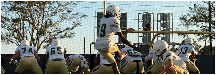 People in football uniforms are lined up on a field preparing for a play during a game or practice. Description generated by AI